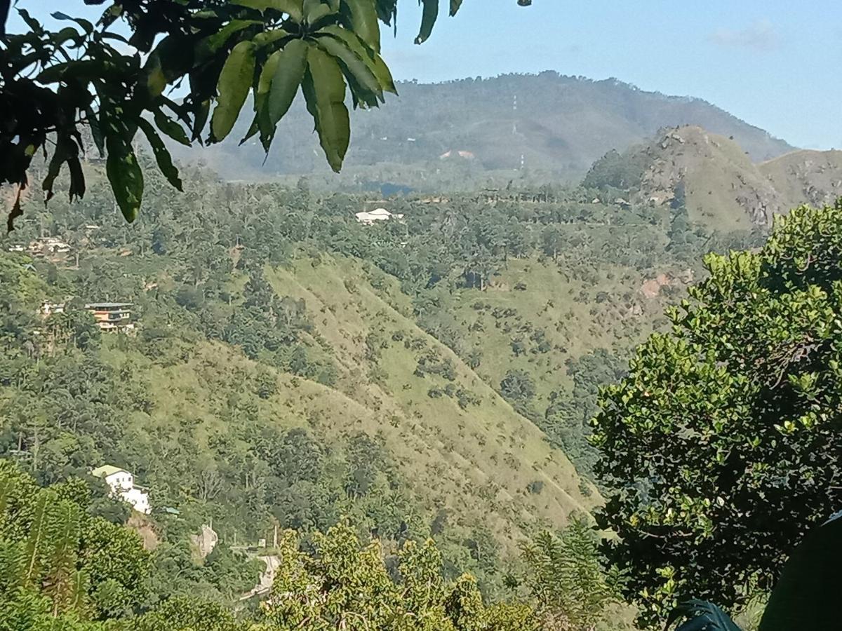 Charming View Homestay Ella Bagian luar foto