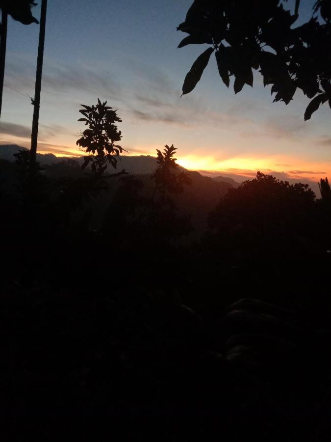 Charming View Homestay Ella Bagian luar foto