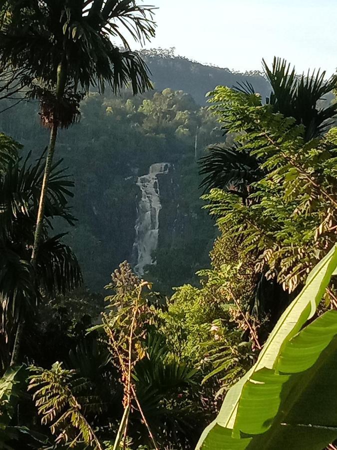 Charming View Homestay Ella Bagian luar foto