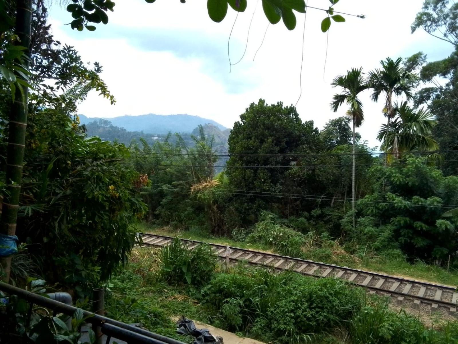 Charming View Homestay Ella Bagian luar foto