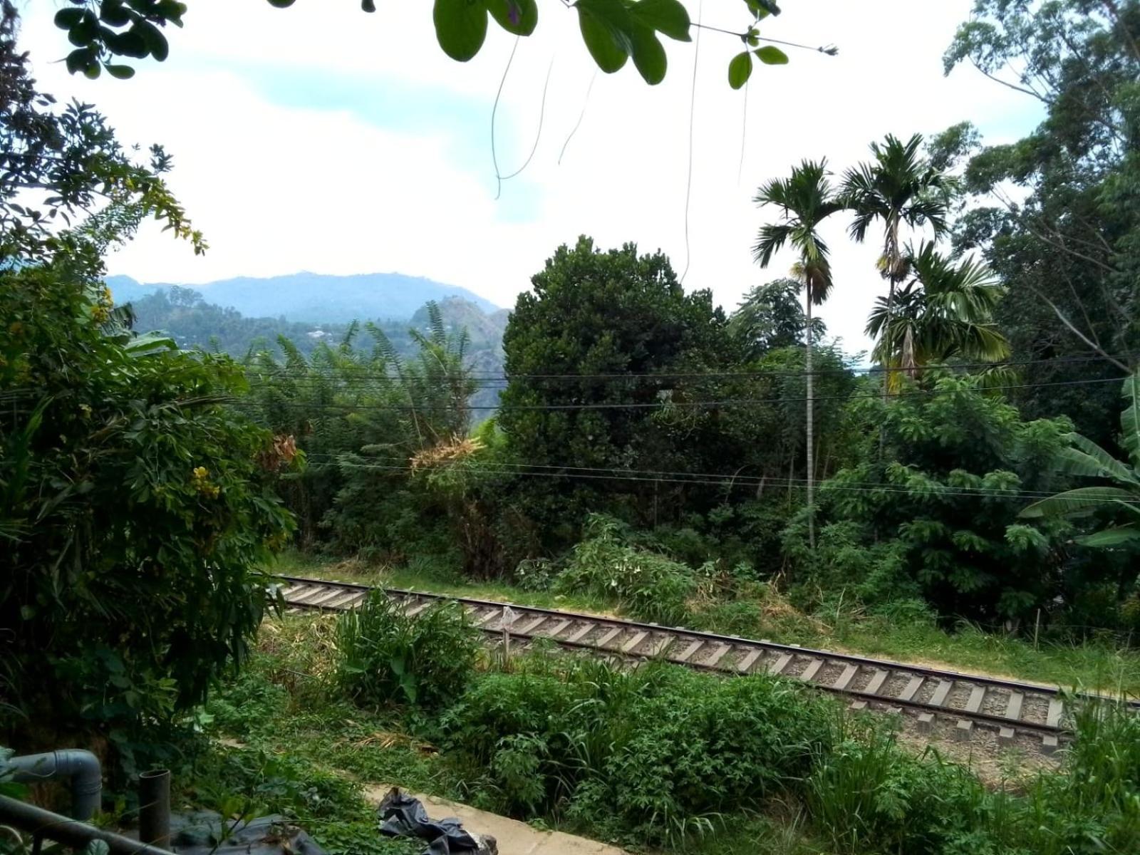 Charming View Homestay Ella Bagian luar foto