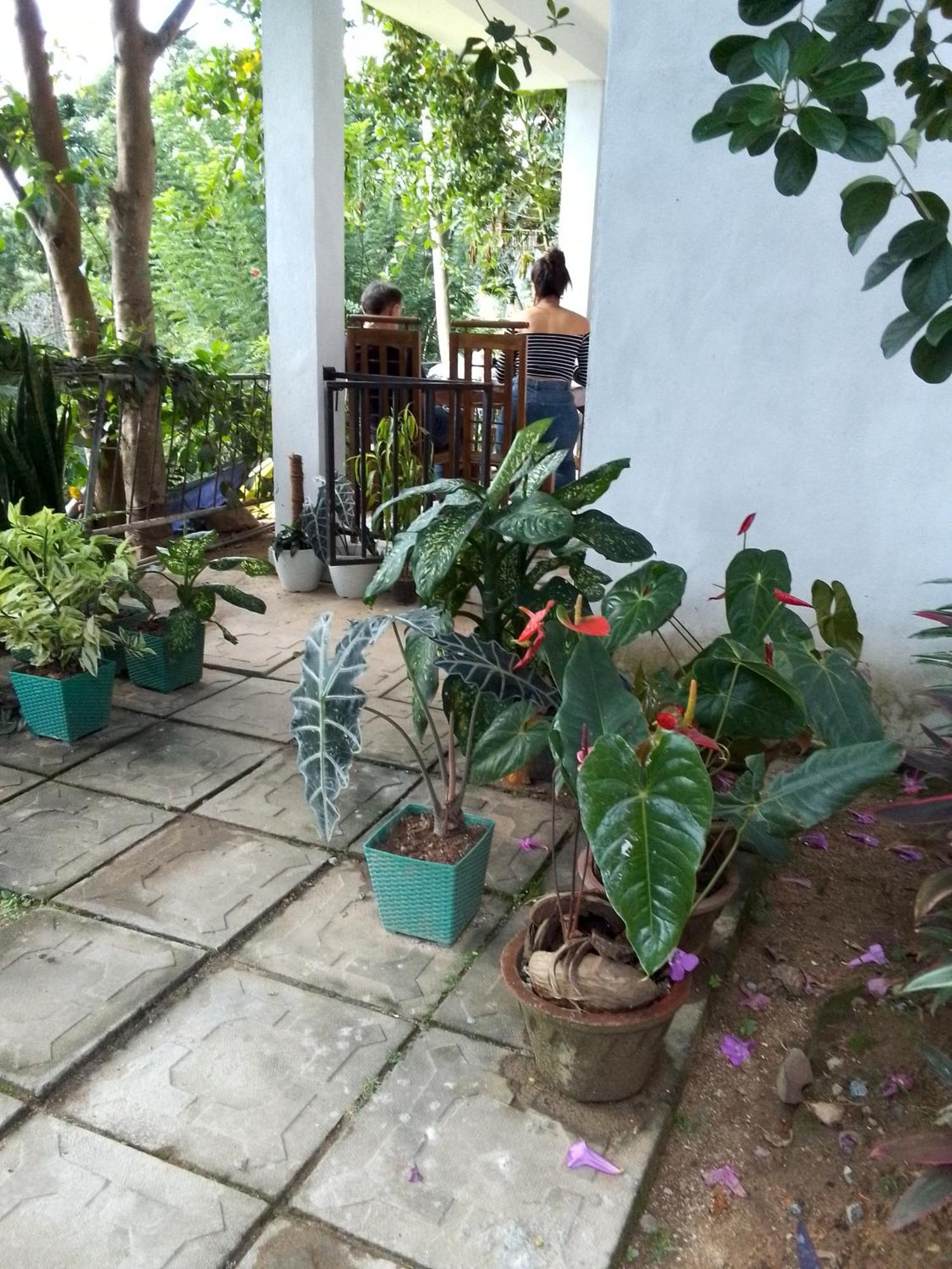 Charming View Homestay Ella Ruang foto