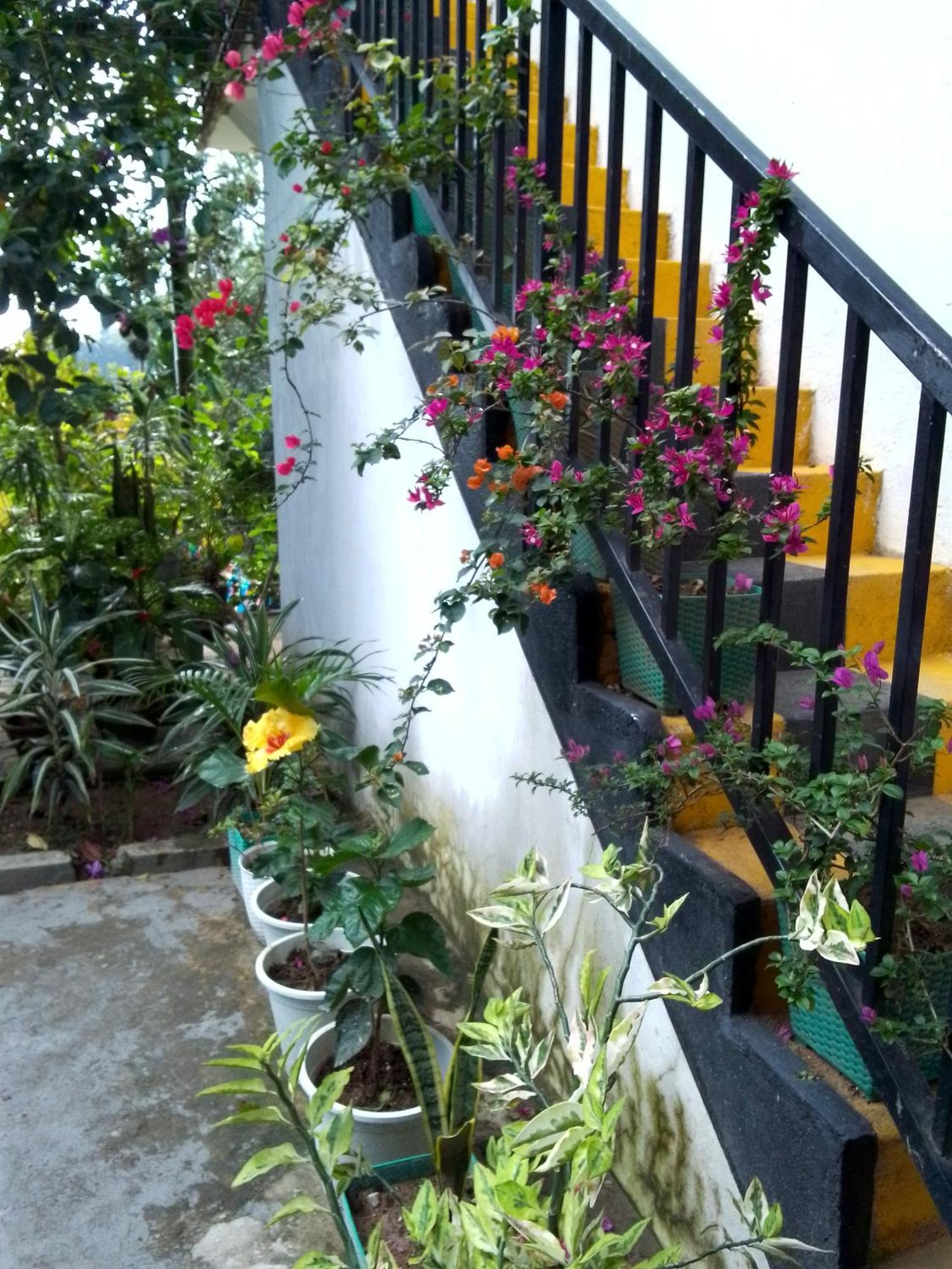 Charming View Homestay Ella Bagian luar foto